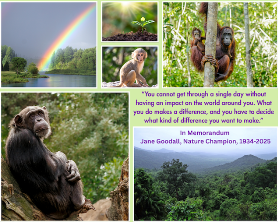 Blue_and_White_Simple_My_Family_Photo_Collage_148abcd9